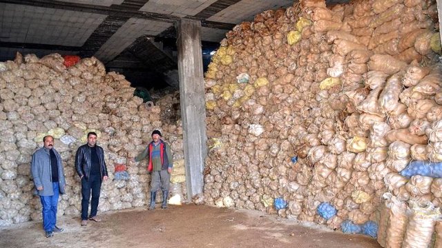 Terör Yüzünden Tonlarca Patates Depoda Kaldı